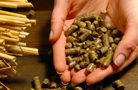 Forwood pellet boiler