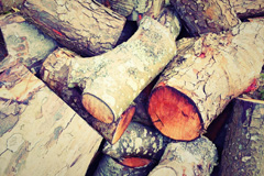 Forwood wood burning boiler costs